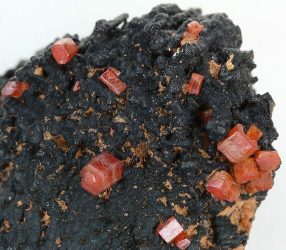 Red Vanadinite Crystals on Manganese Oxide - Morocco #38499